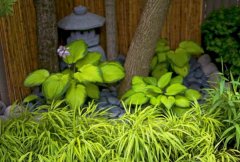 日式园林设计的18个基本要素（中）