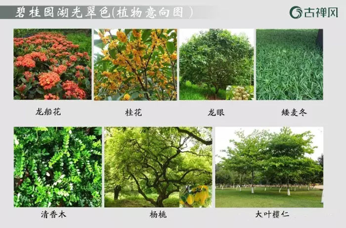 碧桂园湖光翠色植物意向图