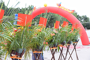 热烈祝贺广州古禅风新网站改版成功上线