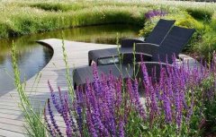 【私家花园设计】私家花园植物不能随意配置