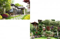别墅庭院的植物应该怎么养护？