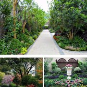 园林景观植物配置的分类标准化技术