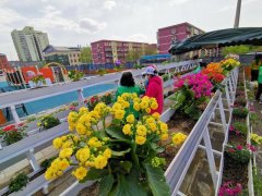 屋顶花园设计有哪些要点？