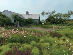 杜晋泽昱：景观生态学在景观设计中的应用