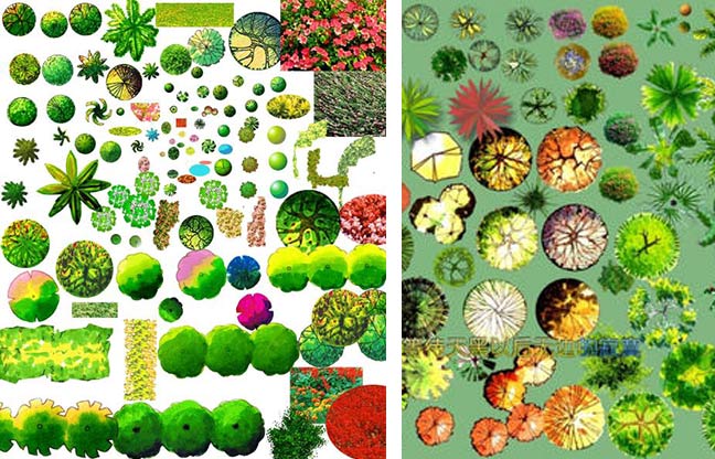 园林植物设计几种行之有效的方法
