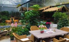 广州古禅风园林带大家一起来瞧瞧大家心目中院子吧