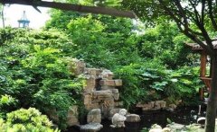 院落的风景之美，有花、石、树、水，快来动手打造你的别墅庭院吧