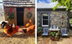 充满乡土气息的乡村庭院让人安闲自在