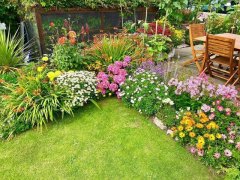 不同的庭院风格有着不一样的植物配置组成