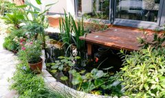 这份私家别墅花园养护小技巧请收好，总有一天会用得上