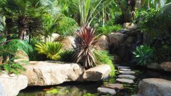 【风水篇】庭院中的山石和围墙如何布置才契合风水