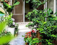 【花园设计新观点】业主要主动参与到私家花园设计中去